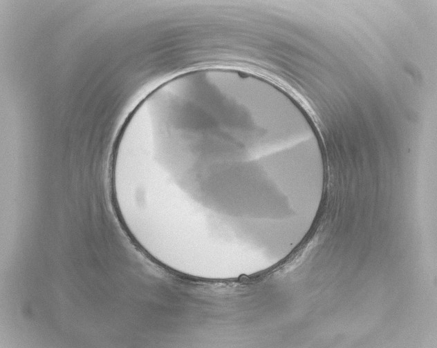 X0000116051533200912181241