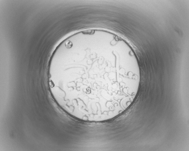 X0000116051534200912181241