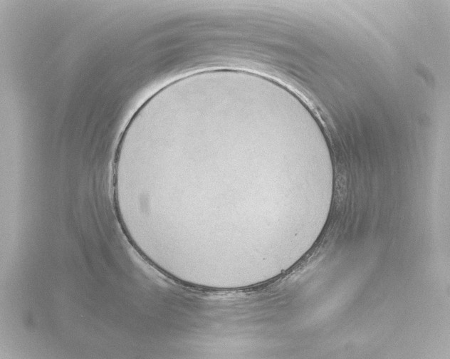 X0000116051535200912181241