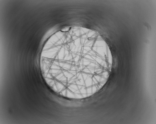 X0000116050004200912312301
