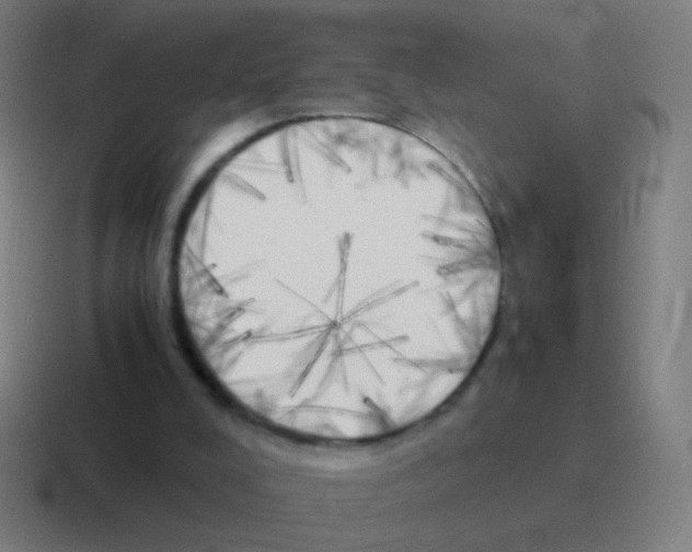 X0000116050008200912312301