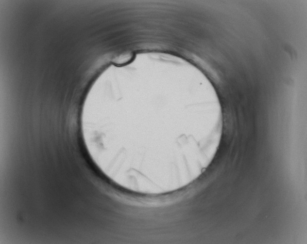 X0000116050015200912312301