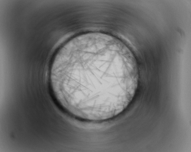 X0000116050016200912312301