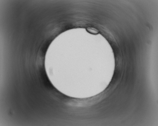 X0000116050033200912312301