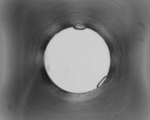X0000116050037200912312301