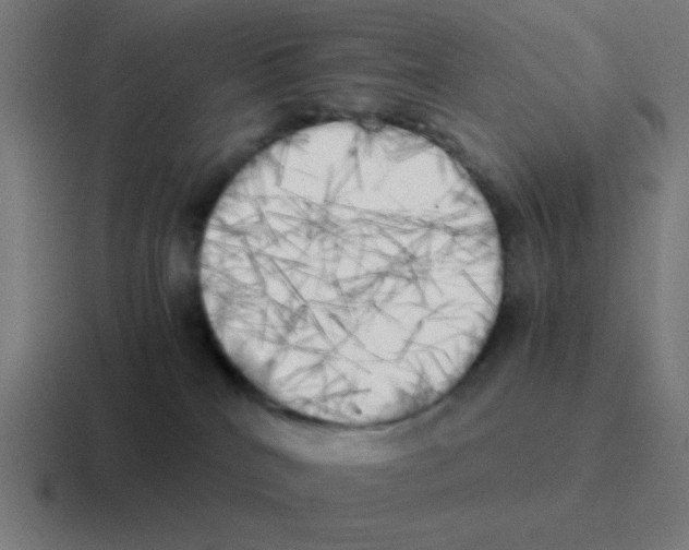 X0000116050040200912312300