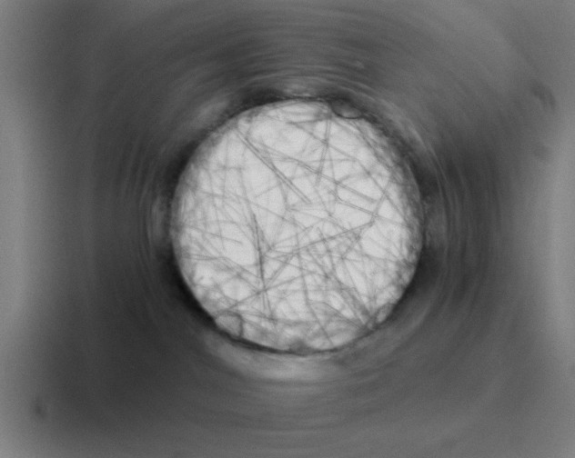 X0000116050044200912312300