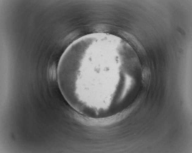 X0000116050046200912312300