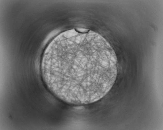 X0000116050054200912312300