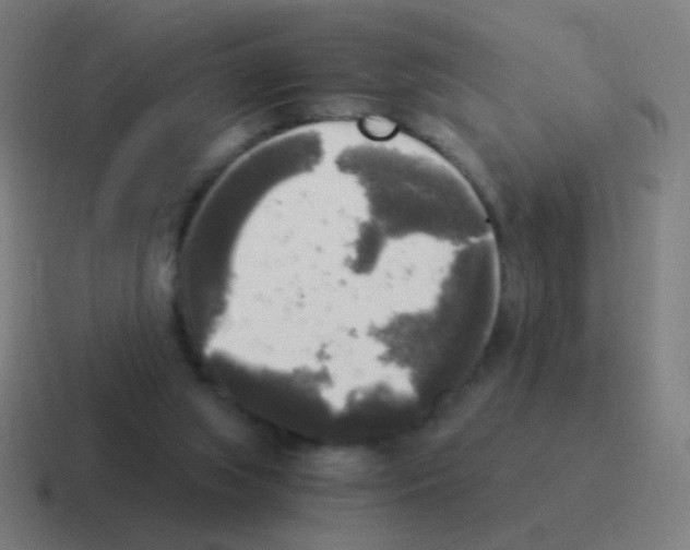 X0000116050063200912312300