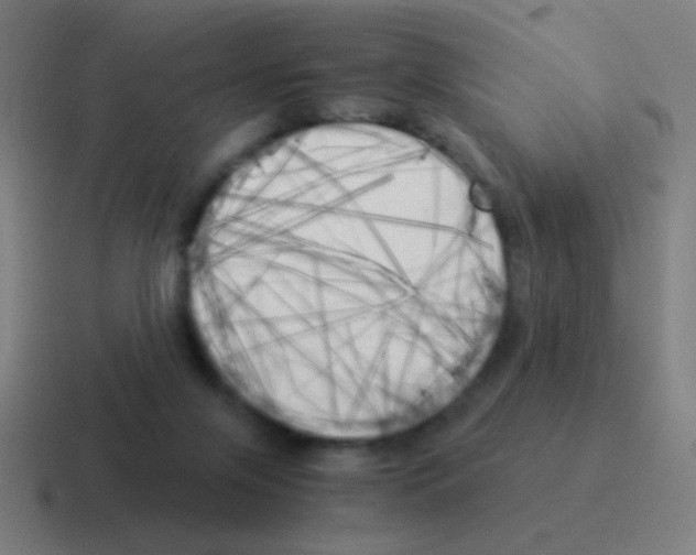 X0000116050071200912312300