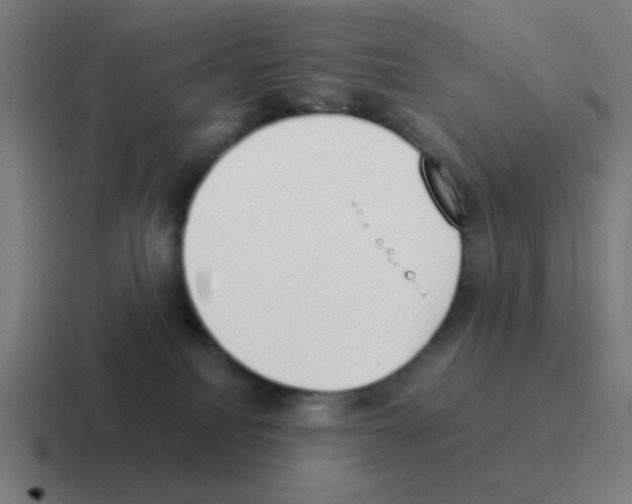 X0000116050088200912312300