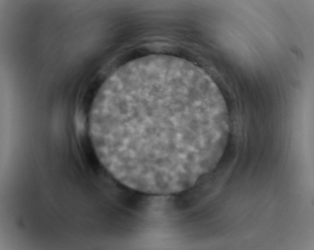 X0000116050089200912312300