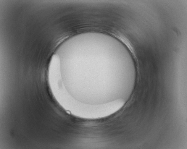 X0000116050105200912312300