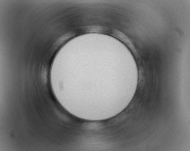 X0000116050106200912312300