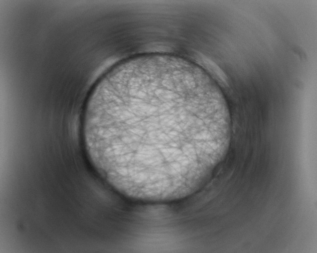 X0000116050108200912312300
