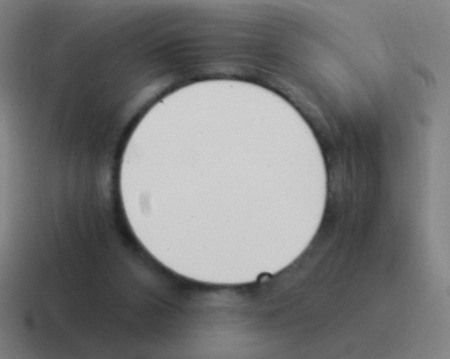 X0000116050112200912312300