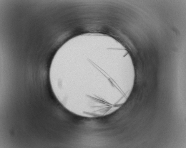 X0000116050113200912312300