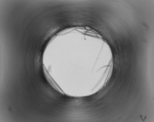 X0000116050116200912312300