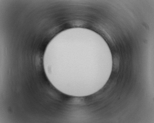 X0000116050126200912312259