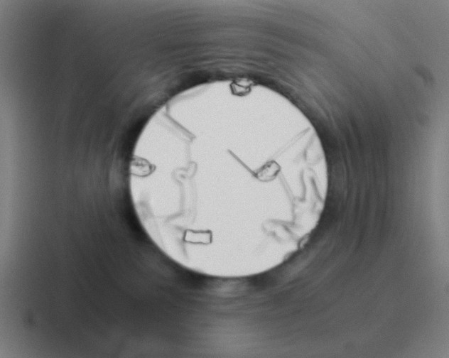 X0000116050135200912312259