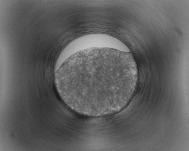 X0000116050136200912312259