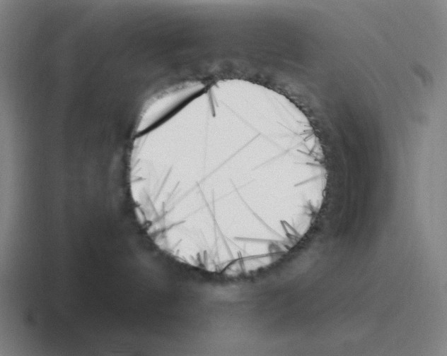 X0000116050144200912312259