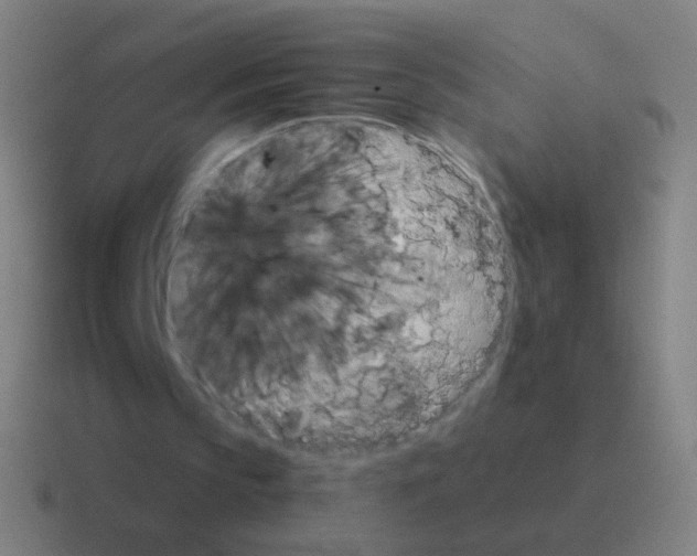 X0000116050145200912312259