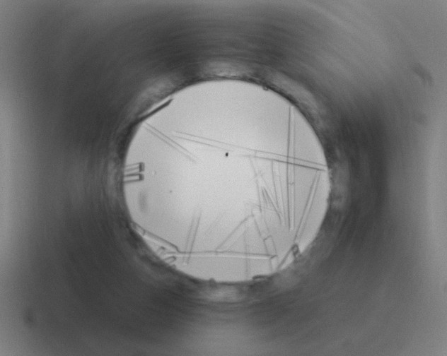 X0000116050162200912312259