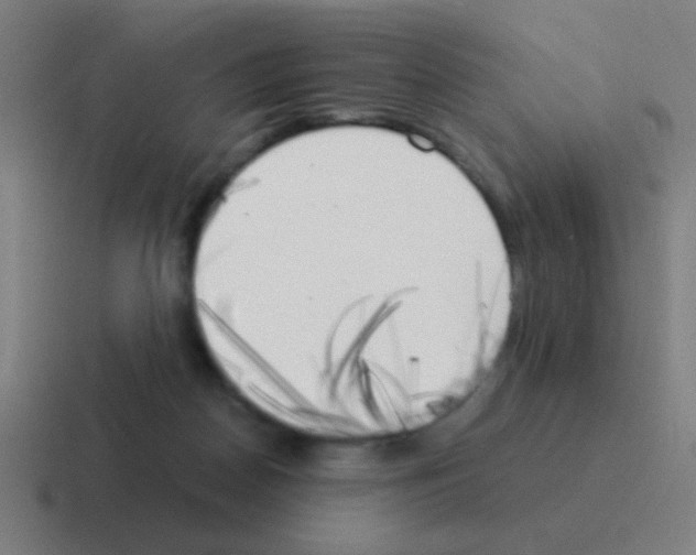 X0000116050170200912312259