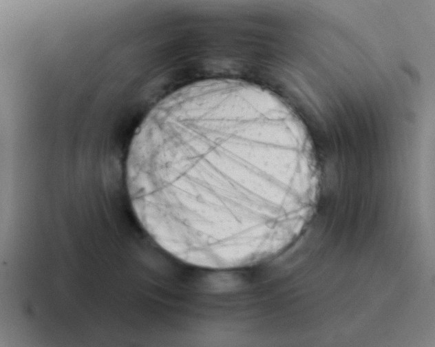 X0000116050183200912312259