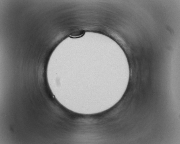 X0000116050201200912312258