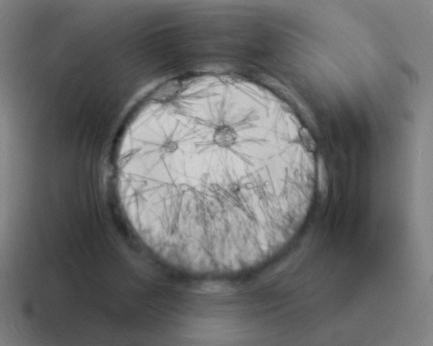 X0000116050204200912312258