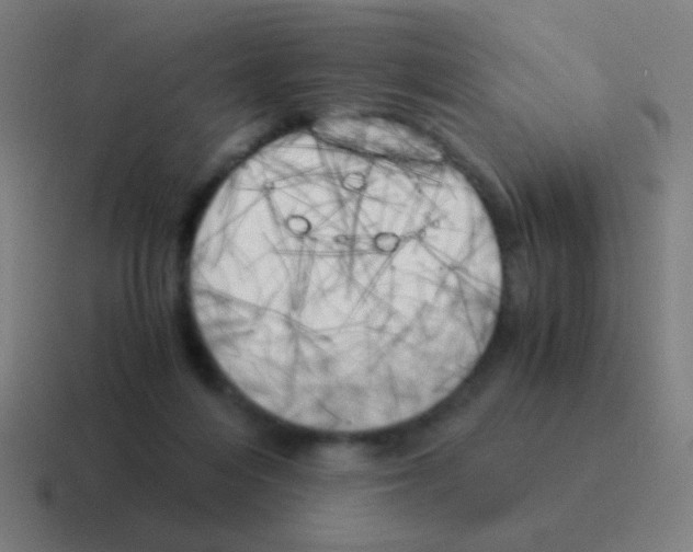 X0000116050216200912312258