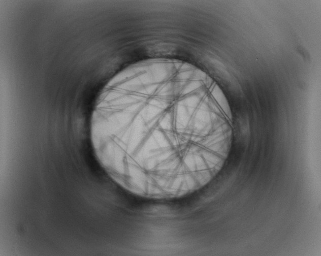 X0000116050224200912312258