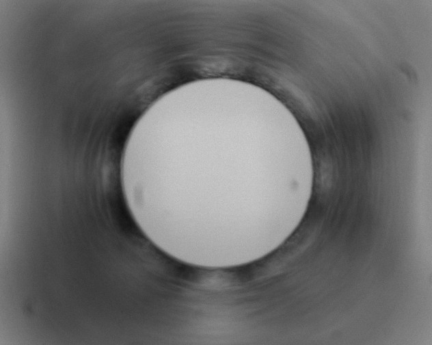 X0000116050226200912312258