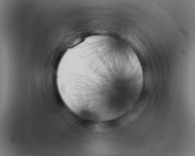 X0000116050229200912312258