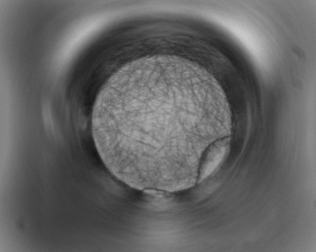 X0000116050239200912312258