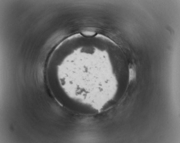 X0000116050243200912312257