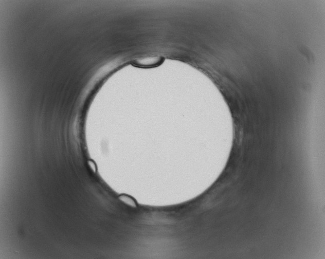 X0000116050244200912312257