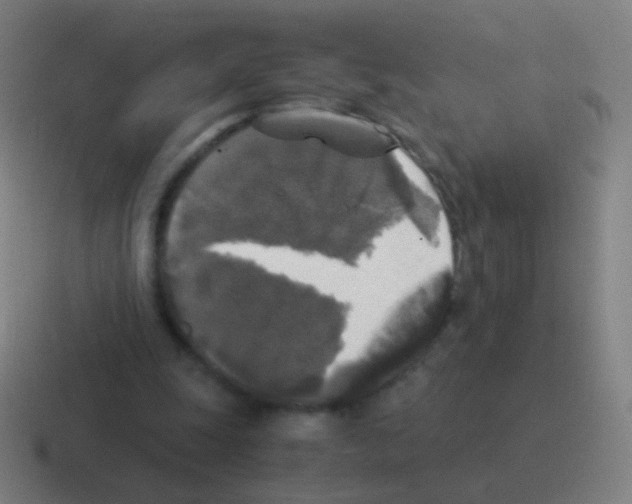 X0000116050247200912312257