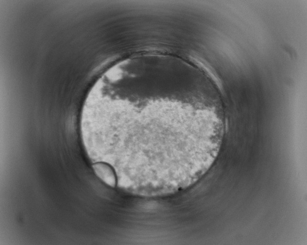 X0000116050249200912312257