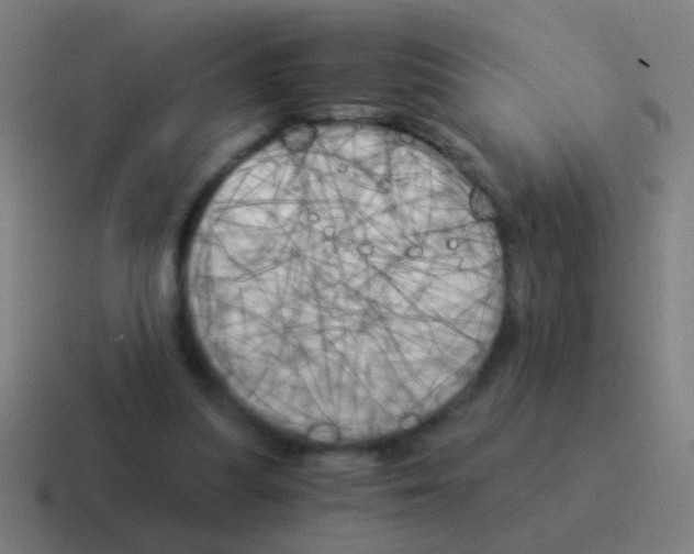 X0000116050251200912312257