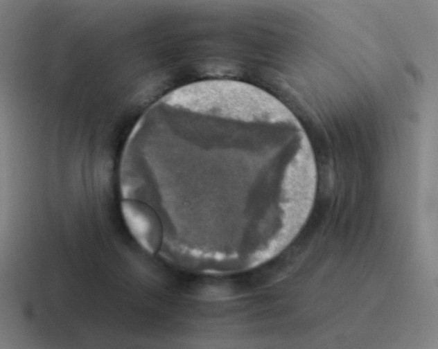 X0000116050263200912312258