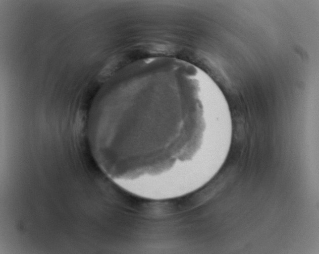 X0000116050273200912312258