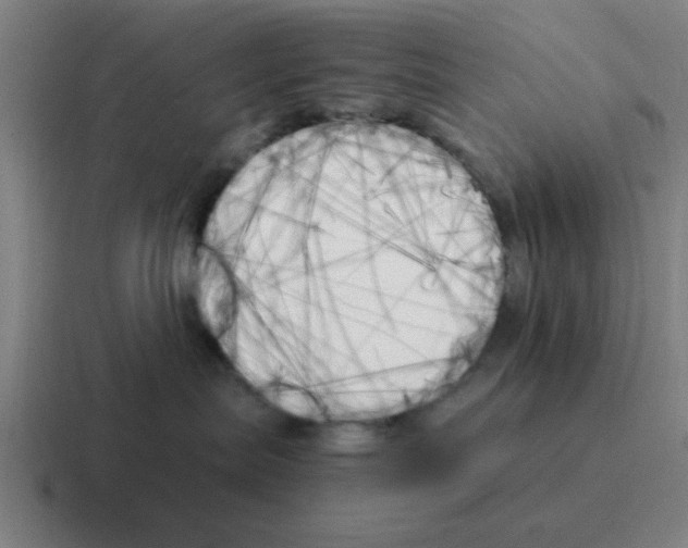 X0000116050287200912312258