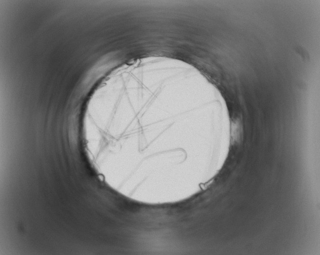 X0000116050291200912312257