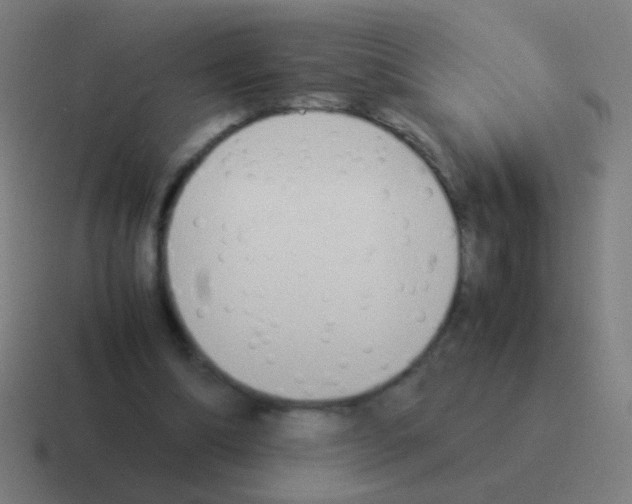 X0000116050298200912312257