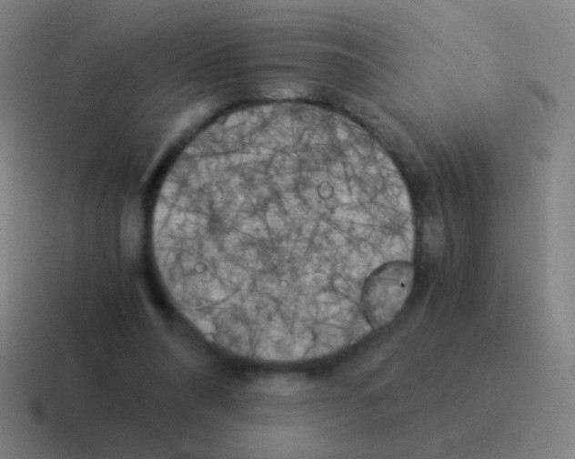 X0000116050304200912312257