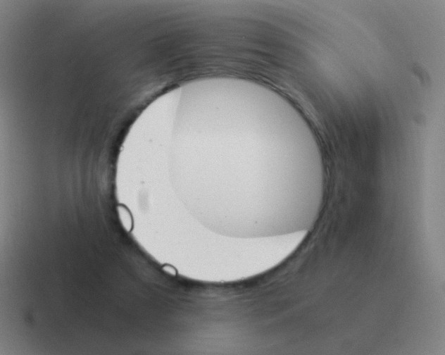X0000116050305200912312257